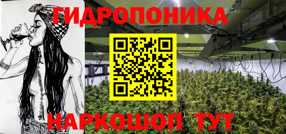 Бошки марихуана план Строитель
